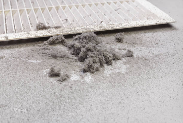 Best Local Air Duct Cleaning Services  in Brookings, SD